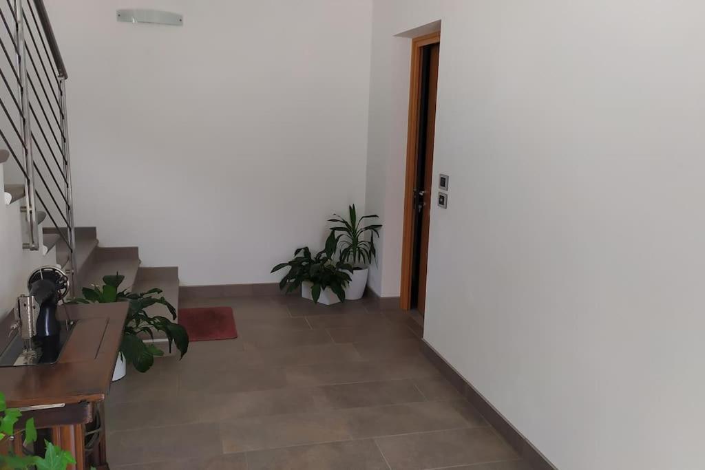 Casa Mirella Apartment Vigolo Vattaro